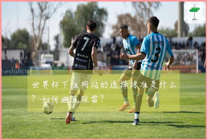 世界杯下注网站的选择标准是什么？如何避免踩雷？