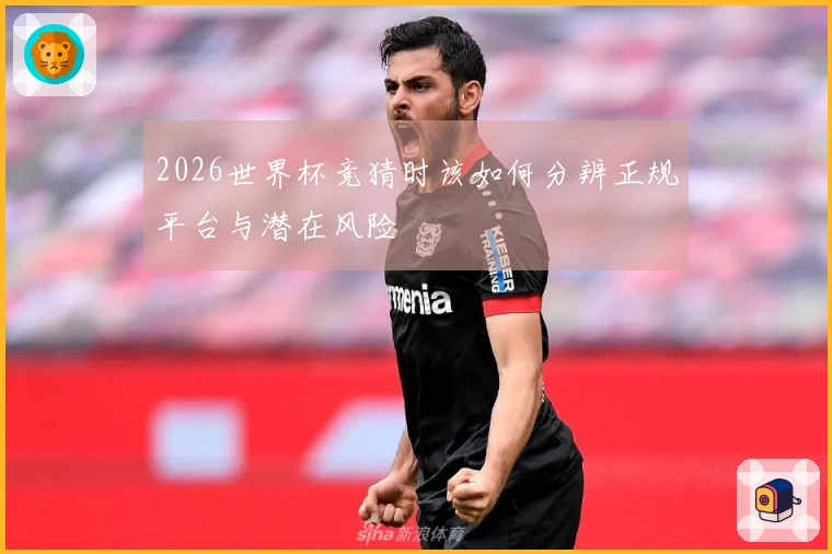 2026世界杯竞猜时该如何分辨正规平台与潜在风险