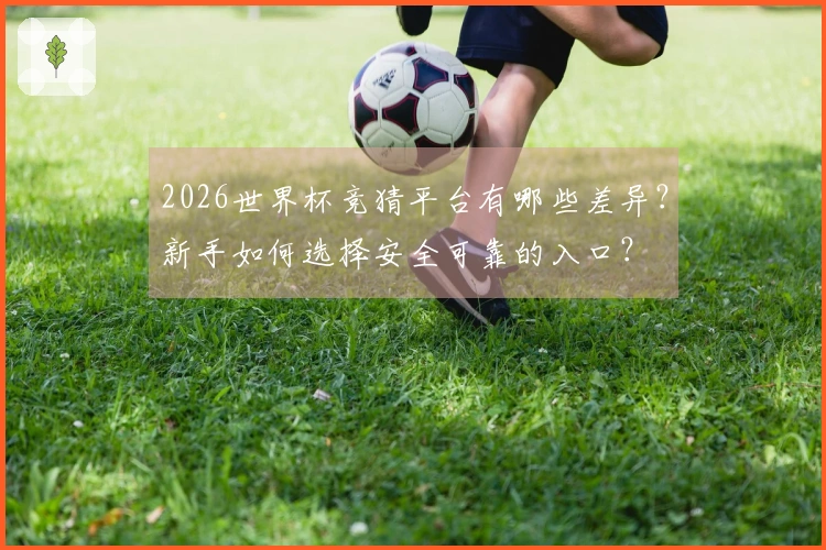 2026世界杯竞猜平台有哪些差异？新手如何选择安全可靠的入口？