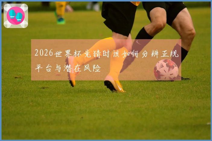2026世界杯竞猜时该如何分辨正规平台与潜在风险