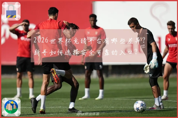 2026世界杯竞猜平台有哪些差异？新手如何选择安全可靠的入口？